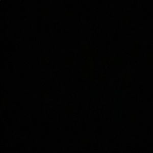 Meet your Posher, Izzy